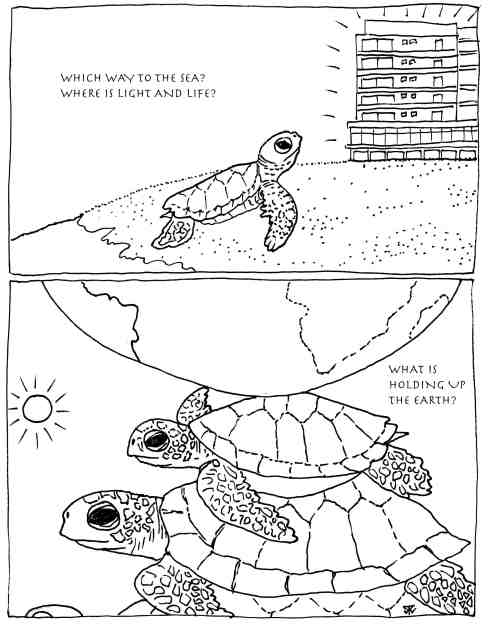 turtleconservation EGNLISH sm