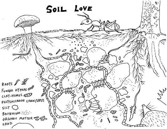 soil1