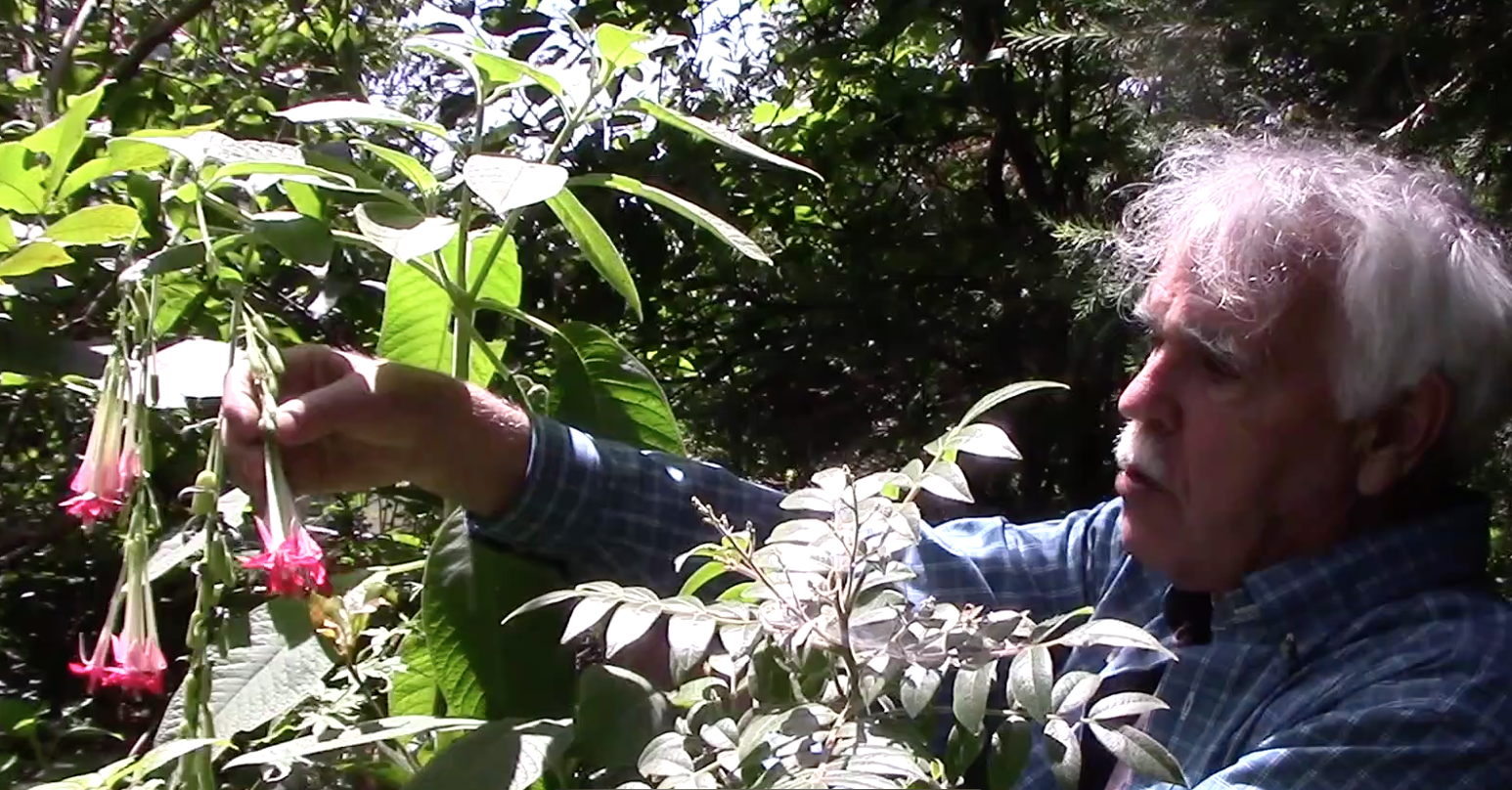 Screen Shot 2023-10-23 at 10.45.40 AM