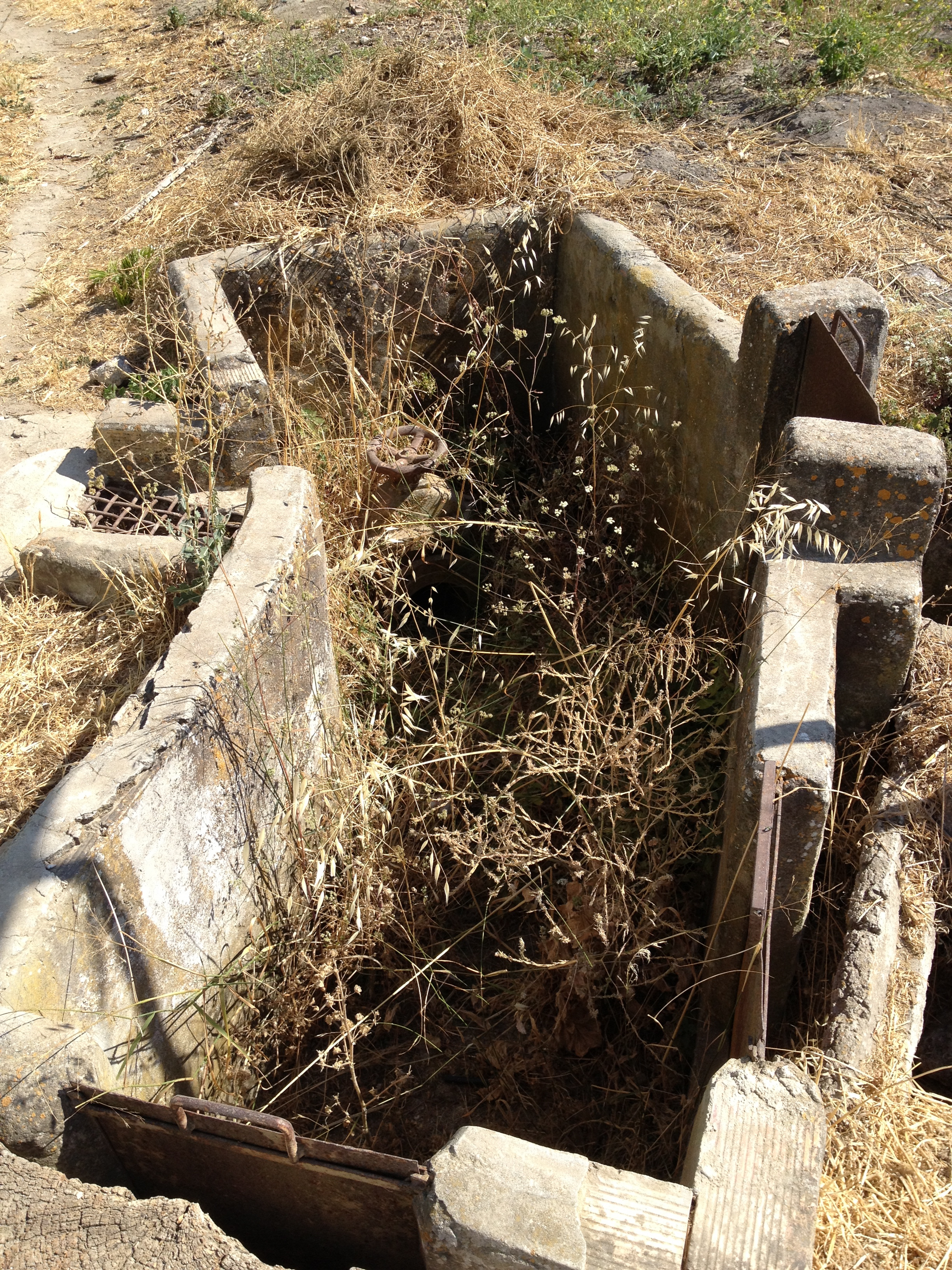 farm irrigation 3 copy