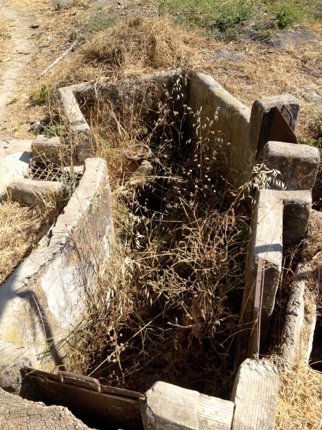 farm irrigation 3 copy