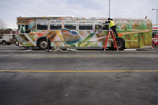 butterfly on bus